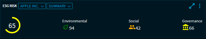esg_4_v27_EN.png