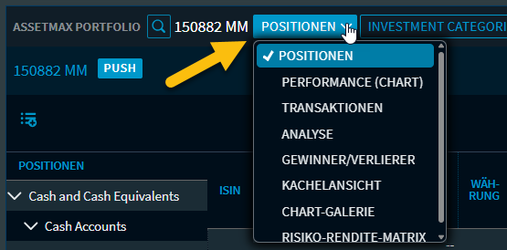 assetmax_p_views_DE.png